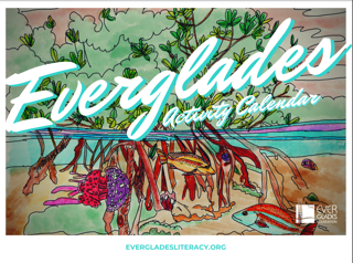 Everglades 
